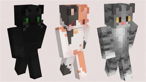 minecraft cat skin|More.